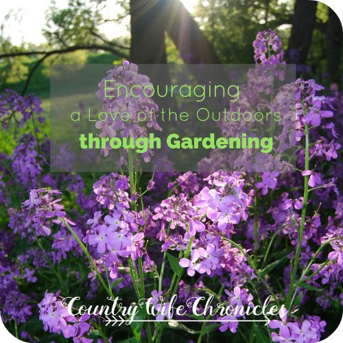 Encouraging a Love of the Outdoors through Gardening Feature Photo